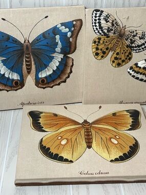 1970’s Set Of Three 3D Puffy Butterfly Fabric Over Wood Wall Decor